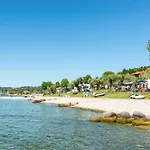 Fontanelle